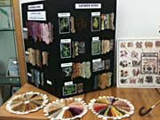 Fiber Dye Display