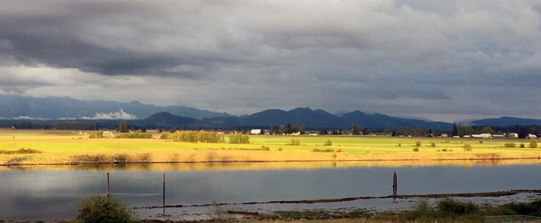 Farmlands of Skagit Valley